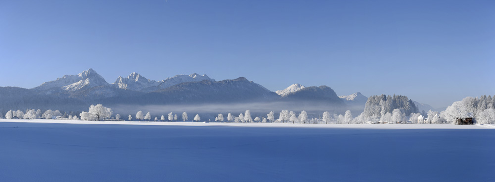 8. Platz Christian Reichert
